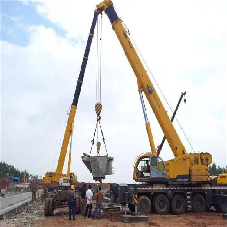 芦山小型吊机出租电话|厂房设备吊装方案|24小时服务覆盖